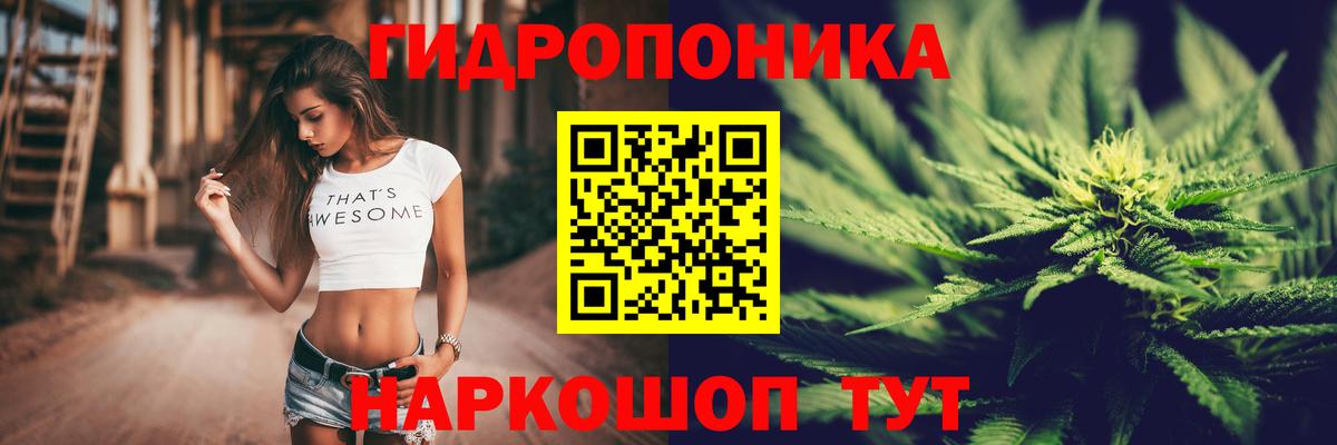 Шишки марихуана OG Kush Новотроицк